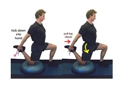 انقباض و استراحت عضله راست رانی