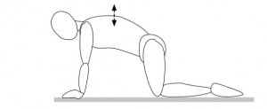 حرکت زانو زدن به شکل چهار دست و پا