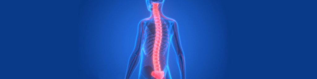 عفونت ستون فقرات کمر